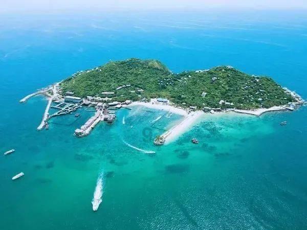 沁园春·长沙全诗文